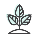 Diseño sin título (20)